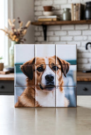 Custom Puzzle Magnet Set 3x3 of a dog, set against a kitchen background.